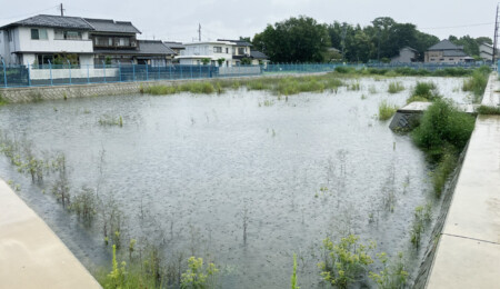 休耕田を利用した暫定遊水地