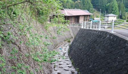 自然環境に配慮した渓流保全工