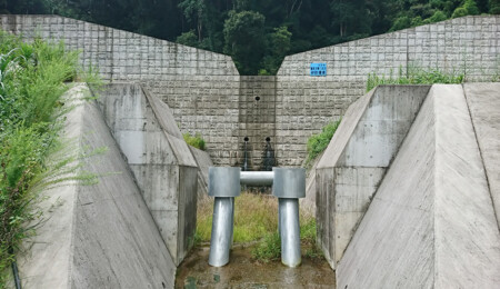 景観に配慮した堰堤工及び流木補足工